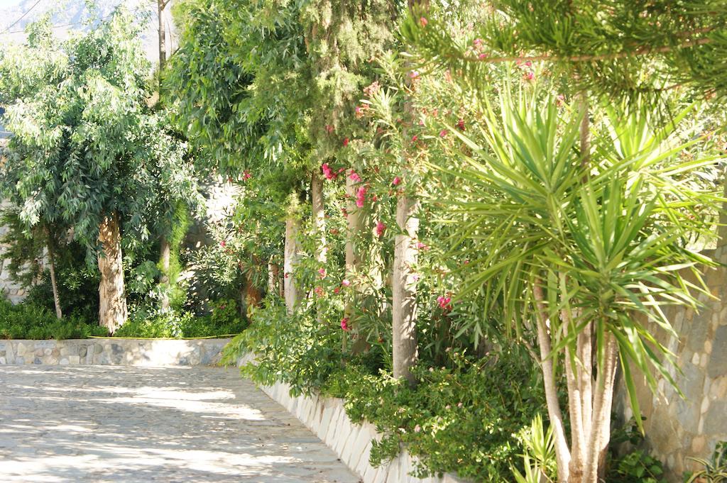 Lofos Hotel Plakias Buitenkant foto